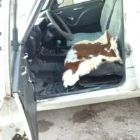 وانت ۸۸|خودرو سواری و وانت|تبریز, |دیوار