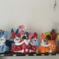 باکس خرگوشی خوشگل..