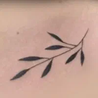 مدل خانوم فقط ۸۰۰ت دوتا باهم