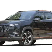 x33 کراس