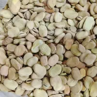 حبوبات ممتاز امامی