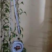 سه عدد کیف رودوشی دو عدد کیف پول|کیف، کفش، کمربند|ایذه, |دیوار