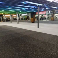 استخدام مربی ورزشی بانوان