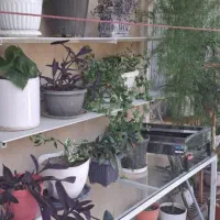 قفسه فلزی،به ابعاد 1.5 ×2.5 متر