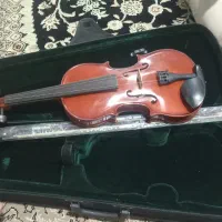 ویلن آک|ویولن|کلاله, |دیوار