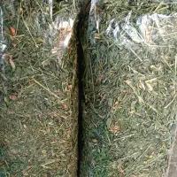 یونجه خرگوش، پوشال، پلت و آجیل جونده