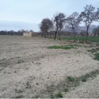 فروش زمین کشاورزی و باغ سند دار|فروش زمین و ملک کلنگی|گلپایگان, |دیوار