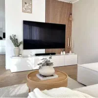 میز تلویزیون زمینی باکسی مدل لانیز۱ تنوع رنگ‌بندی