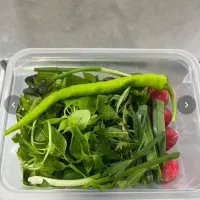 خوردنی اشامدنی