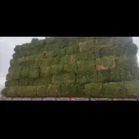 پرس یونجه درجه یک خشک پر گل|خدمات باغبانی و درختکاری|بروجرد, |دیوار