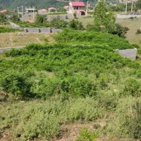 330 متر زمین واقع در سوادکوه روستای کارمزد|فروش زمین و ملک کلنگی|آلاشت, |دیوار