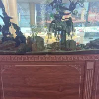 مشاوره در مورد کار