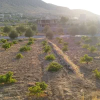 فروش باغ ۲۸۰۰ متری واقع در شیراز شهرستان زرقان|فروش زمین و ملک کلنگی|زرقان, |دیوار
