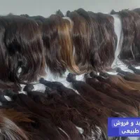 خریدار انواع مو