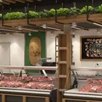 جذب نیرو در پروتئین میکابال