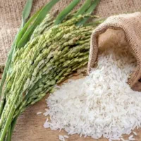 برنج خوش پخت و خوش مزه