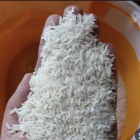 برنج هاشمی آستانه اشرفیه