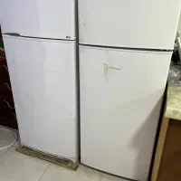 سرایدار خانم