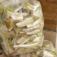 کنگر تمیز و قیمت پایین مال امروز جمعه11 اردیبهشت