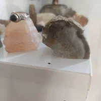 سنگ های بی نظیر که پیداشون نمیکنید نگردید|جواهرات|رشت, گیل|دیوار