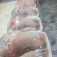 گوسفندزنده کیلیویی وخونی درشبانه روز|حیوانات مزرعه|مشهد, ابوذر|دیوار