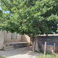 ویلایی روستا