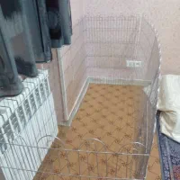 قفس سگ|لوازم جانبی حیوانات|فولادشهر, مسکن مهر فولادشهر|دیوار