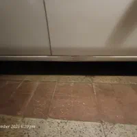 فروش ساینا مدل ۱۳۹۹|خودرو سواری و وانت|کرج, شهرک بهداری|دیوار