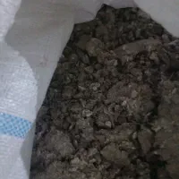 زیل کبوتر|خدمات باغبانی و درختکاری|تبریز, |دیوار