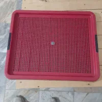 سینی ادرار حیوانات