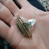 انگشتر|جواهرات|جیرفت, |دیوار