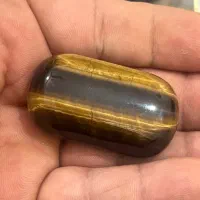 چهارجفت  مهره چشم ببر