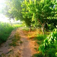 ۳۰۰۰متر باغ بارده