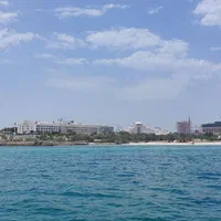 تور کیش|تور و چارتر|تهران, ایرانشهر|دیوار