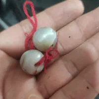 مهره قدیمی.|کلکسیون اشیاء عتیقه|رامهرمز, |دیوار