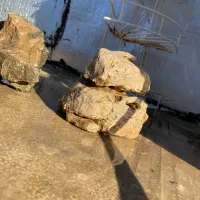 سنگ و شن آکواریوم ماهی|ماهی|مریوان, |دیوار