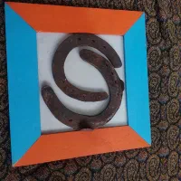 نعل اسب پاخورده نریان