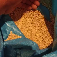 گندم بش|خوردنی و آشامیدنی|شیراز, شهرک امیر کبیر|دیوار
