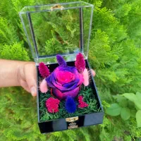 گل رز جاویدان تمام پلکسی در انواع رنگ ها کد ۶۱