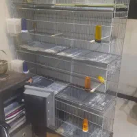 قفس صنعتی