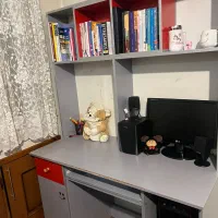 مانیتور LG و سه تا باندو کتابخانه با کمی خط و خش|قطعات و لوازم جانبی رایانه|اردبیل, |دیوار