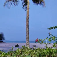 تور کیش|تور و چارتر|تهران, ایرانشهر|دیوار