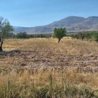 زمین کشاورزی