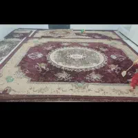 فرش|فرش|مریوان, |دیوار