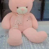 خرس بزرگ نوتمیز