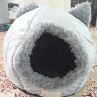جای خواب گربه