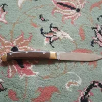 چاقو|کوهنوردی و کمپینگ|تهران, سلسبیل جنوبی|دیوار