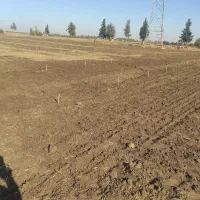 هرس و طراحی باغ انجام میشود|خدمات باغبانی و درختکاری|خان ببین, |دیوار