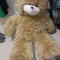 سلام یک عدد خرس  بزرگ بفروش میرسد