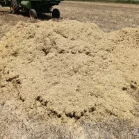 باسلام کاه گندم برای فروش